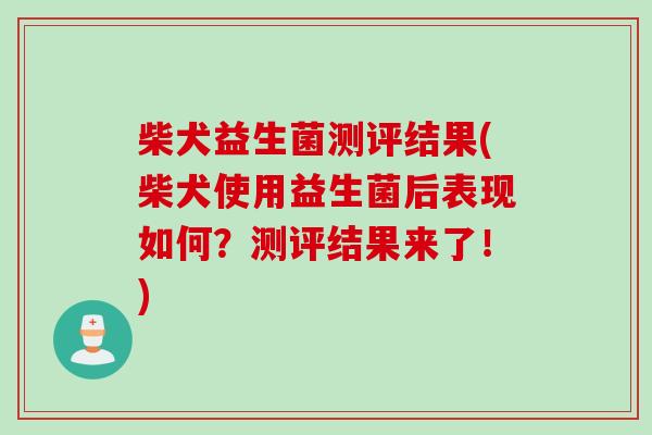 柴犬益生菌测评结果(柴犬使用益生菌后表现如何?测评结果来了!) 柴犬益生菌测评结果(柴犬使用益生菌后表现如何?测评结果来了!)