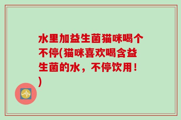 水里加益生菌猫咪喝个不停(猫咪喜欢喝含益生菌的水，不停饮用！)