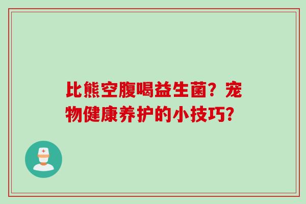 比熊空腹喝益生菌？宠物健康养护的小技巧？