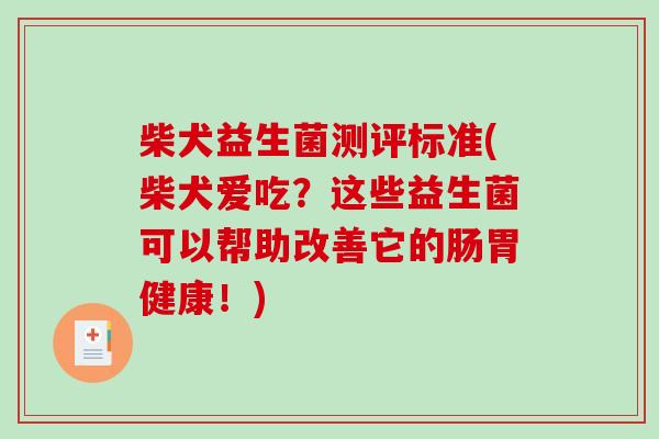 柴犬益生菌测评标准(柴犬爱吃？这些益生菌可以帮助改善它的肠胃健康！)