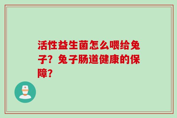 活性益生菌怎么喂给兔子？兔子肠道健康的保障？