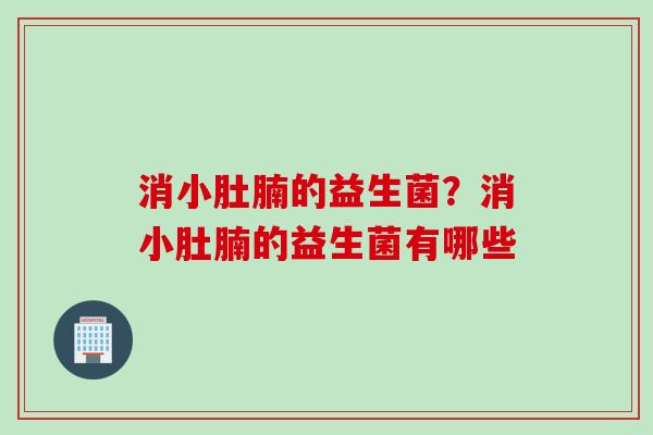 消小肚腩的益生菌？消小肚腩的益生菌有哪些