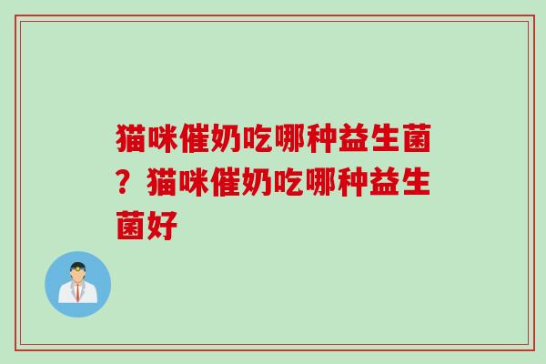猫咪催奶吃哪种益生菌?猫咪催奶吃哪种益生菌好 猫咪催奶吃哪种益生菌?猫咪催奶吃哪种益生菌好