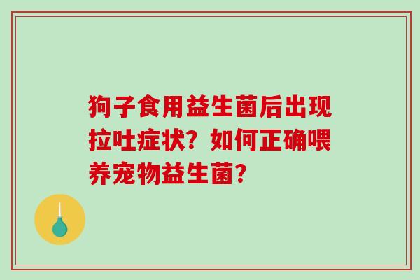 狗子食用益生菌后出现拉吐症状？如何正确喂养宠物益生菌？