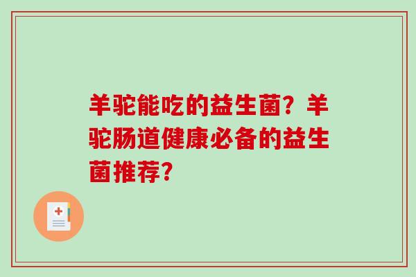 羊驼能吃的益生菌？羊驼肠道健康必备的益生菌推荐？
