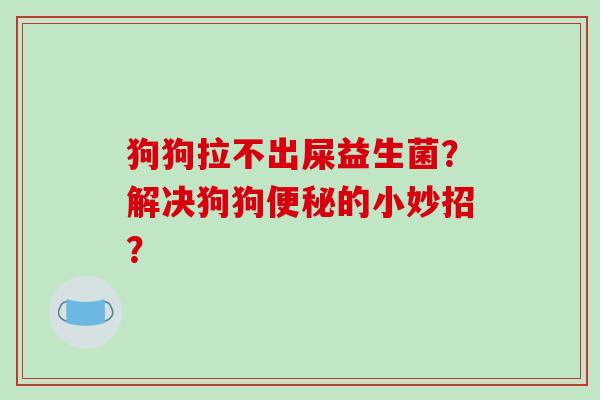 狗狗拉不出屎益生菌？解决狗狗的小妙招？
