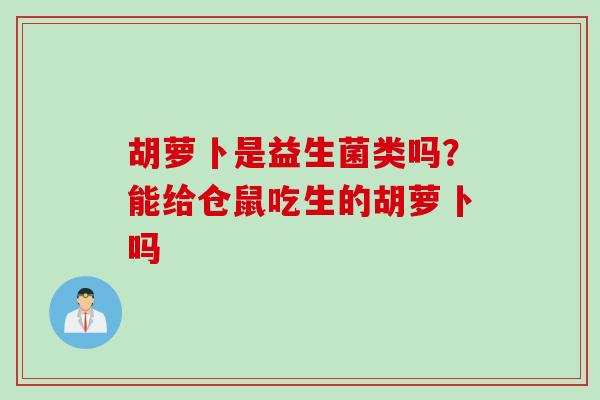 胡萝卜是益生菌类吗？能给仓鼠吃生的胡萝卜吗