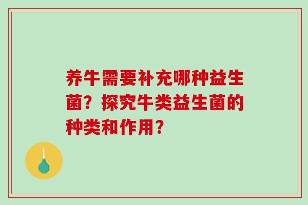 养牛需要补充哪种益生菌？探究牛类益生菌的种类和作用？