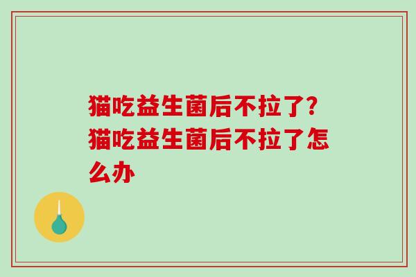 猫吃益生菌后不拉了？猫吃益生菌后不拉了怎么办