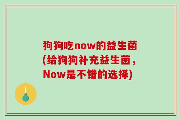 狗狗吃now的益生菌(给狗狗补充益生菌，Now是不错的选择)