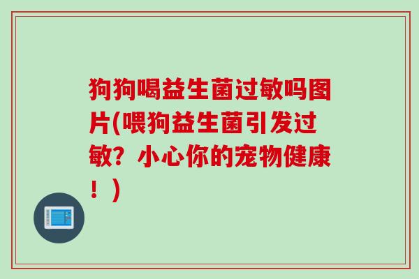 狗狗喝益生菌吗图片(喂狗益生菌引发?小心你的宠物健康!) 狗狗喝益生菌吗图片(喂狗益生菌引发?小心你的宠物健康!)