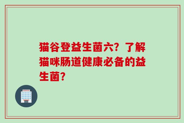 猫谷登益生菌六?了解猫咪肠道健康必备的益生菌? 猫谷登益生菌六?了解猫咪肠道健康必备的益生菌?