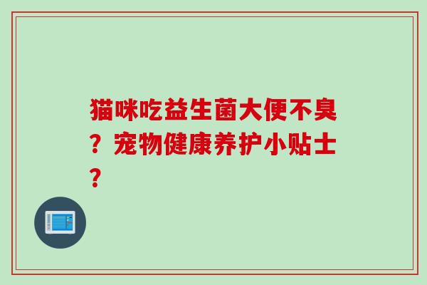 猫咪吃益生菌大便不臭？宠物健康养护小贴士？