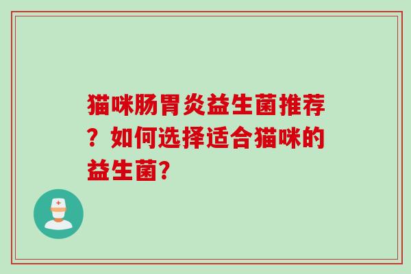 猫咪肠胃炎益生菌推荐？如何选择适合猫咪的益生菌？
