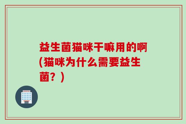 益生菌猫咪干嘛用的啊(猫咪为什么需要益生菌？)