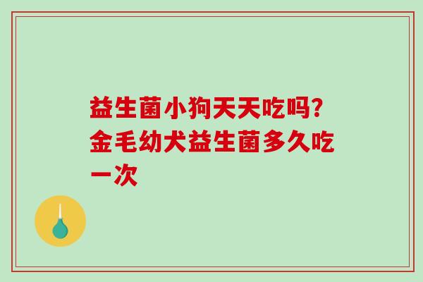 益生菌小狗天天吃吗？金毛幼犬益生菌多久吃一次