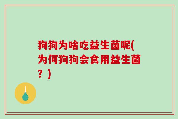 狗狗为啥吃益生菌呢(为何狗狗会食用益生菌？)
