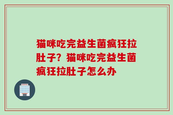 猫咪吃完益生菌疯狂拉肚子？猫咪吃完益生菌疯狂拉肚子怎么办
