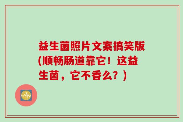 益生菌照片文案搞笑版(顺畅肠道靠它！这益生菌，它不香么？)