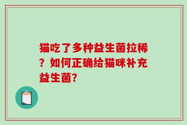 猫吃了多种益生菌拉稀？如何正确给猫咪补充益生菌？