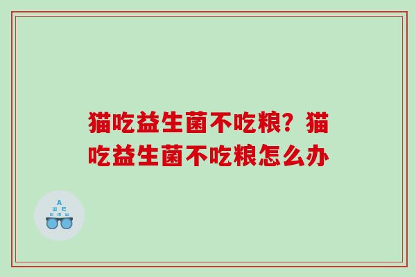猫吃益生菌不吃粮?猫吃益生菌不吃粮怎么办 猫吃益生菌不吃粮?猫吃益生菌不吃粮怎么办