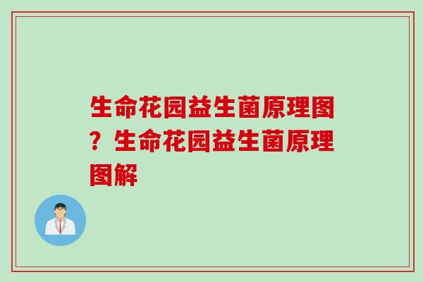 生命花园益生菌原理图？生命花园益生菌原理图解