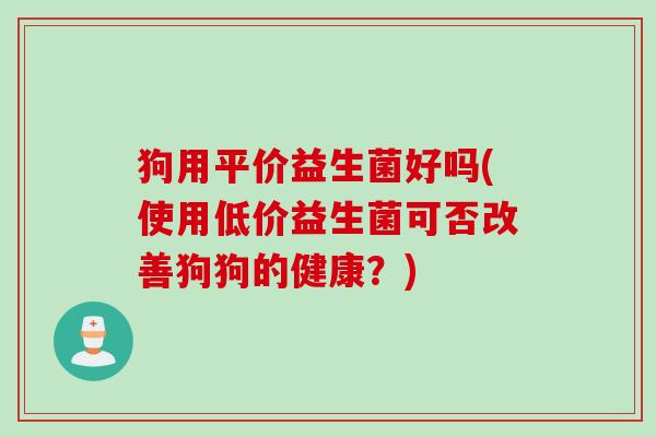 狗用平价益生菌好吗(使用低价益生菌可否改善狗狗的健康？)