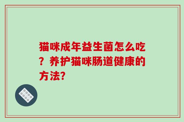 猫咪成年益生菌怎么吃？养护猫咪肠道健康的方法？
