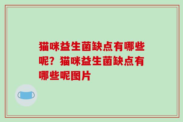 猫咪益生菌缺点有哪些呢？猫咪益生菌缺点有哪些呢图片