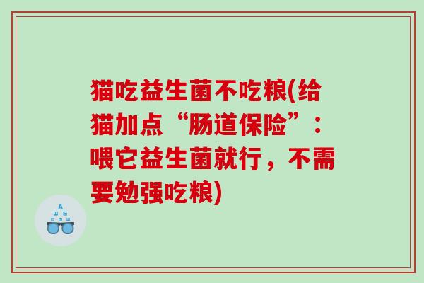 猫吃益生菌不吃粮(给猫加点“肠道保险”：喂它益生菌就行，不需要勉强吃粮)