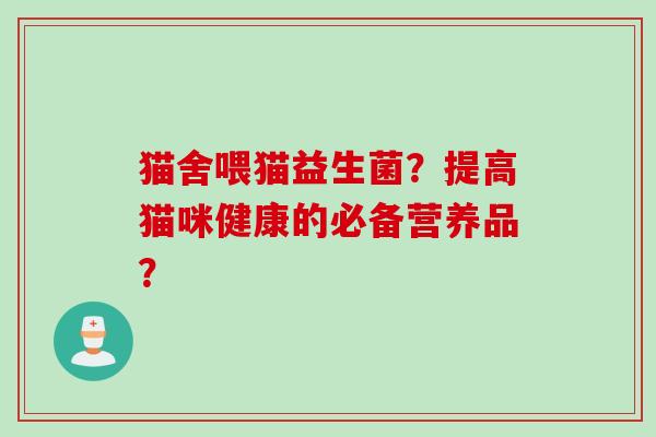猫舍喂猫益生菌？提高猫咪健康的必备营养品？