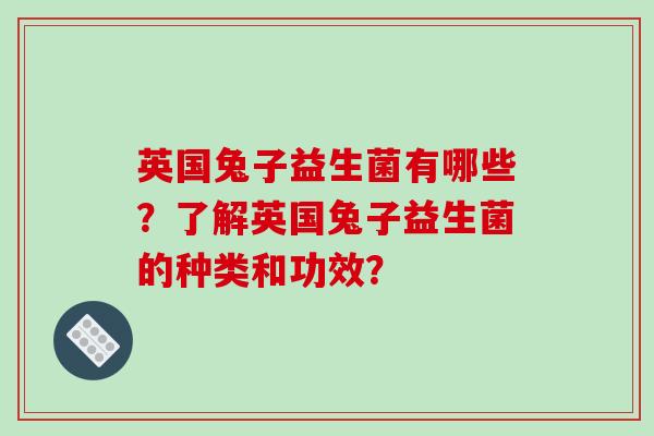 英国兔子益生菌有哪些？了解英国兔子益生菌的种类和功效？