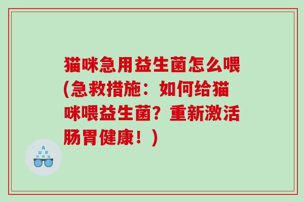 猫咪急用益生菌怎么喂(急救措施：如何给猫咪喂益生菌？重新激活肠胃健康！)