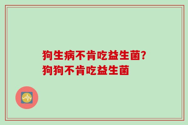 狗生不肯吃益生菌?狗狗不肯吃益生菌 狗生不肯吃益生菌?狗狗不肯吃益生菌