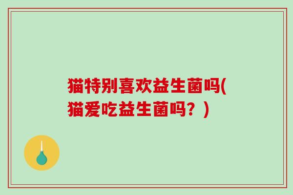 猫特别喜欢益生菌吗(猫爱吃益生菌吗？)