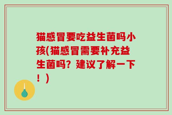猫感冒要吃益生菌吗小孩(猫感冒需要补充益生菌吗？建议了解一下！)