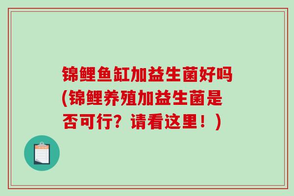 锦鲤鱼缸加益生菌好吗(锦鲤养殖加益生菌是否可行？请看这里！)