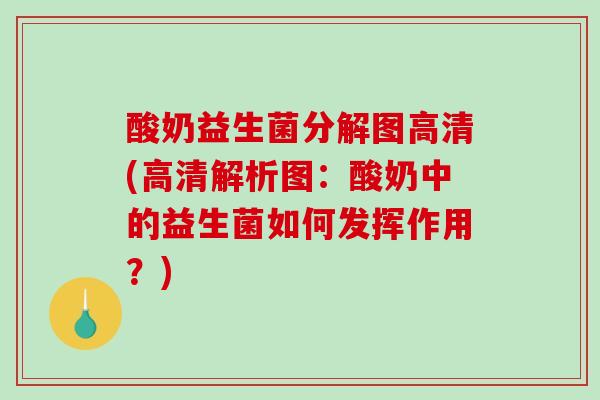 酸奶益生菌分解图高清(高清解析图：酸奶中的益生菌如何发挥作用？)