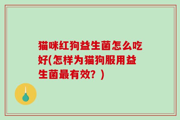猫咪红狗益生菌怎么吃好(怎样为猫狗服用益生菌最有效？)