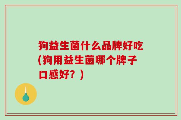 狗益生菌什么品牌好吃(狗用益生菌哪个牌子口感好？)