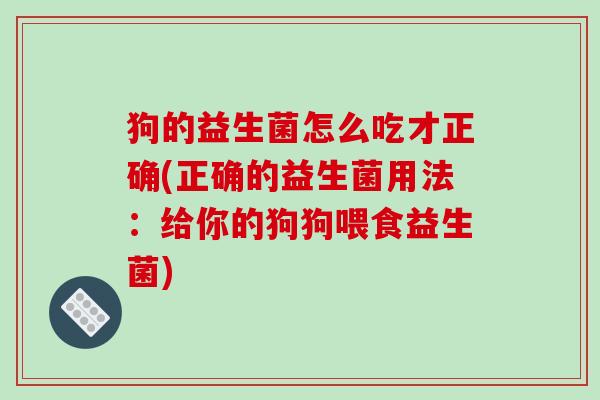 狗的益生菌怎么吃才正确(正确的益生菌用法：给你的狗狗喂食益生菌)