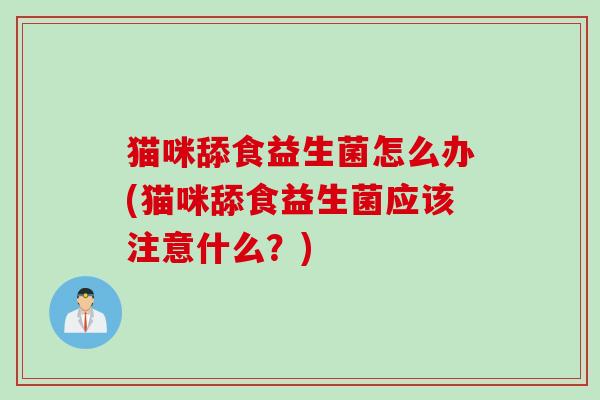 猫咪舔食益生菌怎么办(猫咪舔食益生菌应该注意什么？)