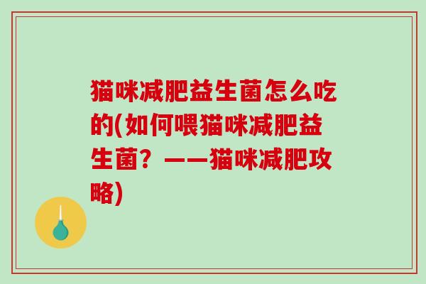 猫咪减肥益生菌怎么吃的(如何喂猫咪减肥益生菌？——猫咪减肥攻略)