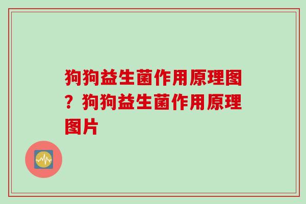 狗狗益生菌作用原理图？狗狗益生菌作用原理图片