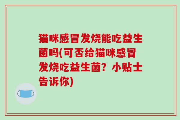 猫咪发烧能吃益生菌吗(可否给猫咪发烧吃益生菌?小贴士告诉你) 猫咪发烧能吃益生菌吗(可否给猫咪发烧吃益生菌?小贴士告诉你)