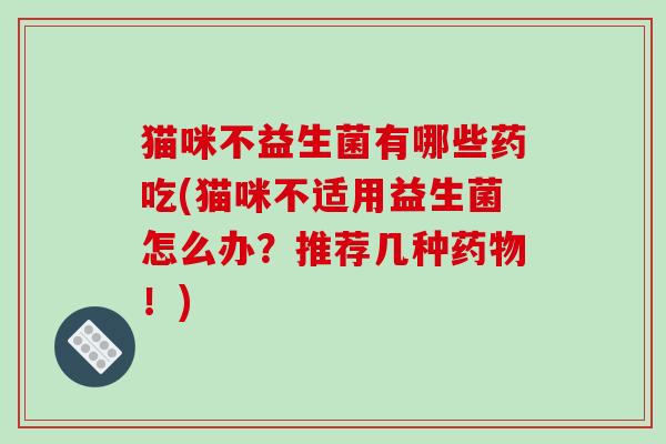 猫咪不益生菌有哪些药吃(猫咪不适用益生菌怎么办?推荐几种!) 猫咪不益生菌有哪些药吃(猫咪不适用益生菌怎么办?推荐几种!)