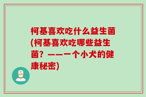 柯基喜欢吃什么益生菌(柯基喜欢吃哪些益生菌？——一个小犬的健康秘密)
