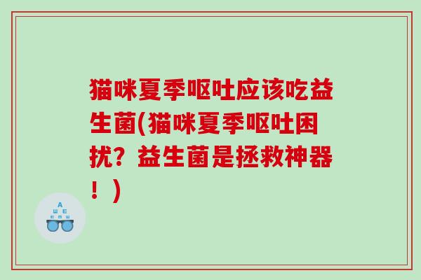 猫咪夏季应该吃益生菌(猫咪夏季困扰？益生菌是拯救神器！)