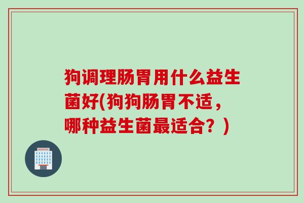 狗调理肠胃用什么益生菌好(狗狗肠胃不适，哪种益生菌最适合？)