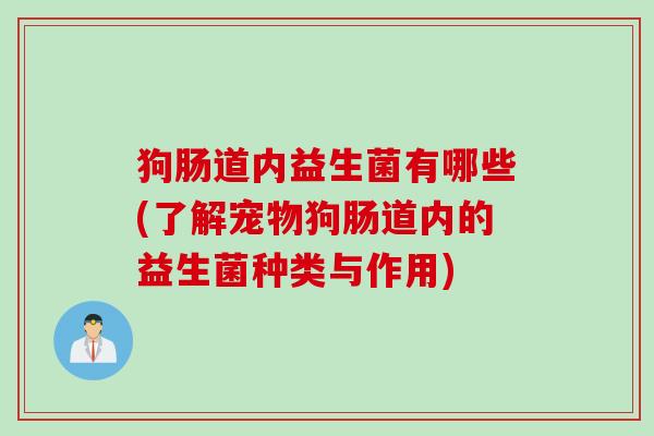 狗肠道内益生菌有哪些(了解宠物狗肠道内的益生菌种类与作用) 狗肠道内益生菌有哪些(了解宠物狗肠道内的益生菌种类与作用)